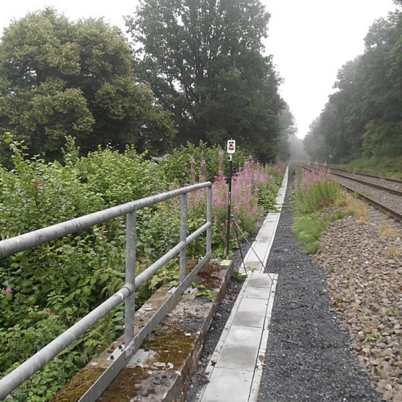 Ein vernebelter Bahndamm mit einer erhöhten Aussichtsplattform, gesäumt von grünen Pflanzen und lila Blumen, neben einem Gleis
